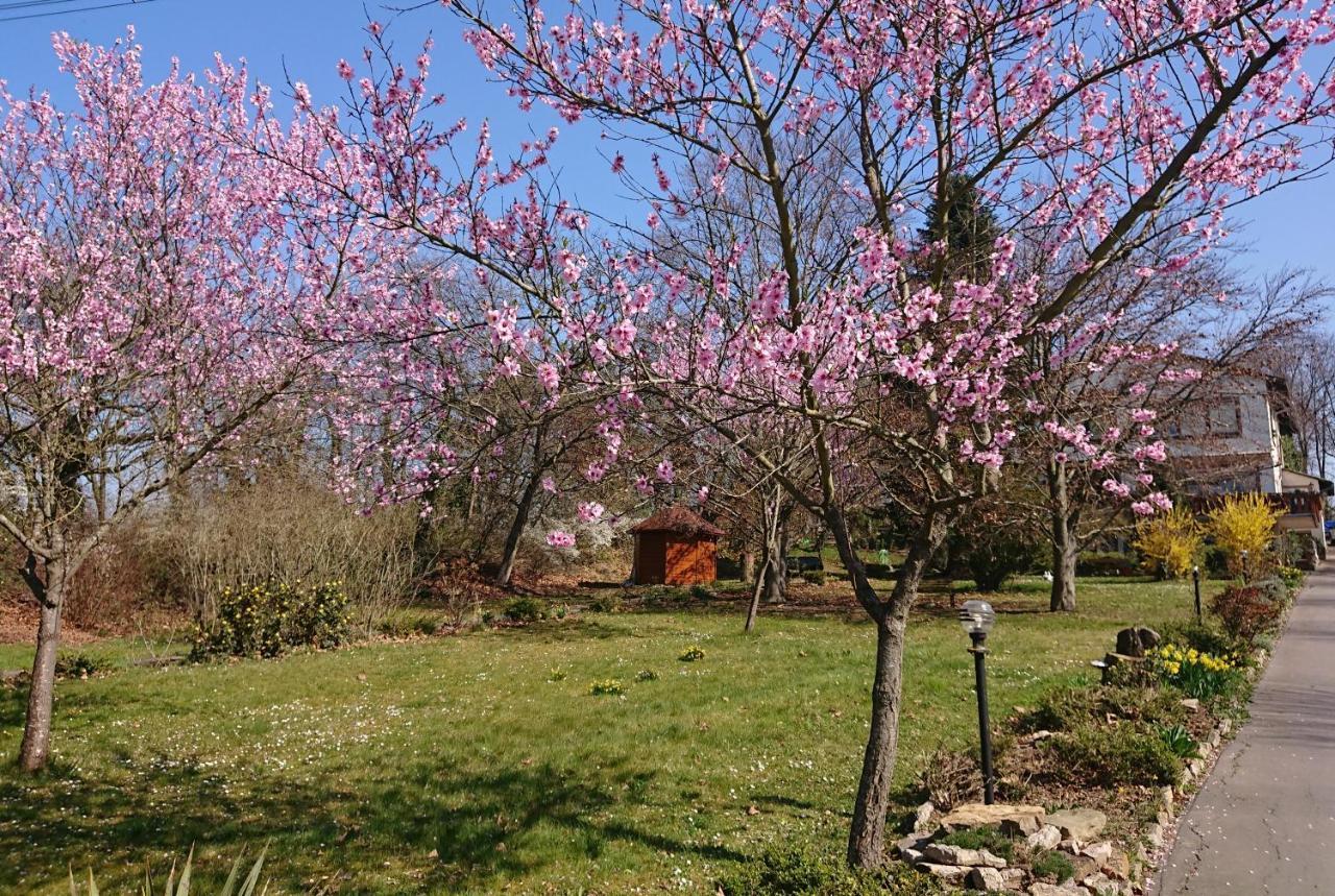 Landgasthof Gänsberg Wiesloch Exteriör bild
